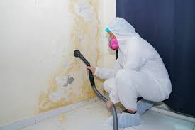 Best Mold Removal for HVAC Installations  in Tappan, NY